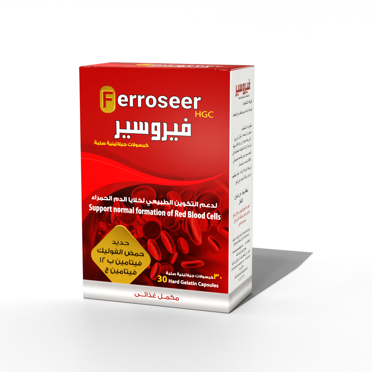 Ferroseer3